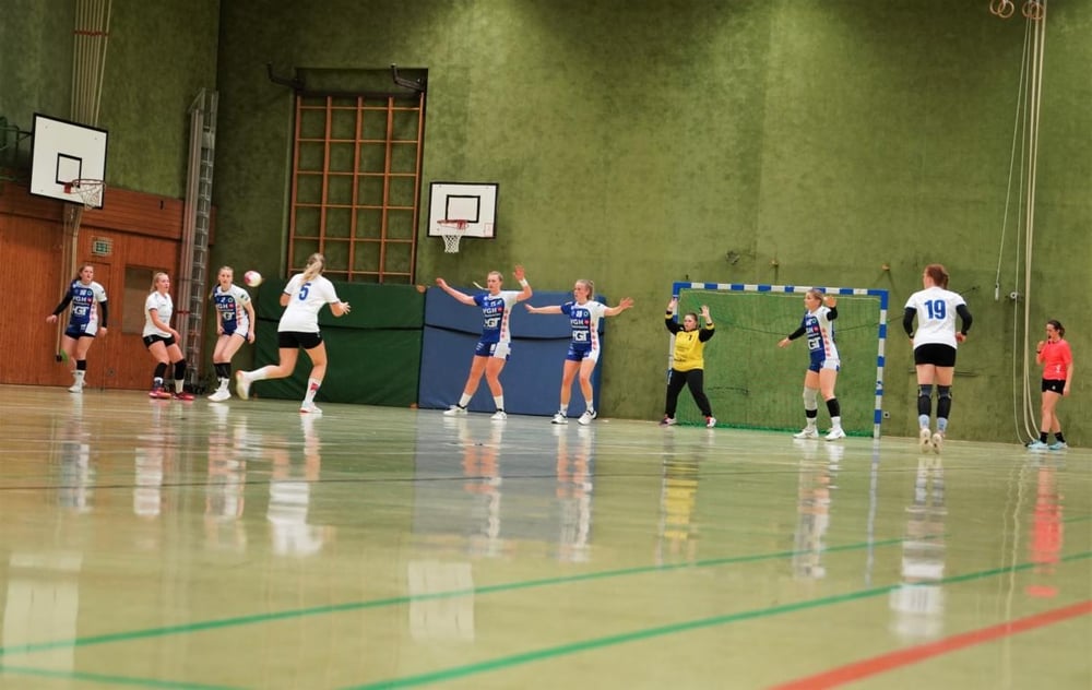 Foto Handball im Landkreis Peine - HSG Nord Edemissen 1. Damen