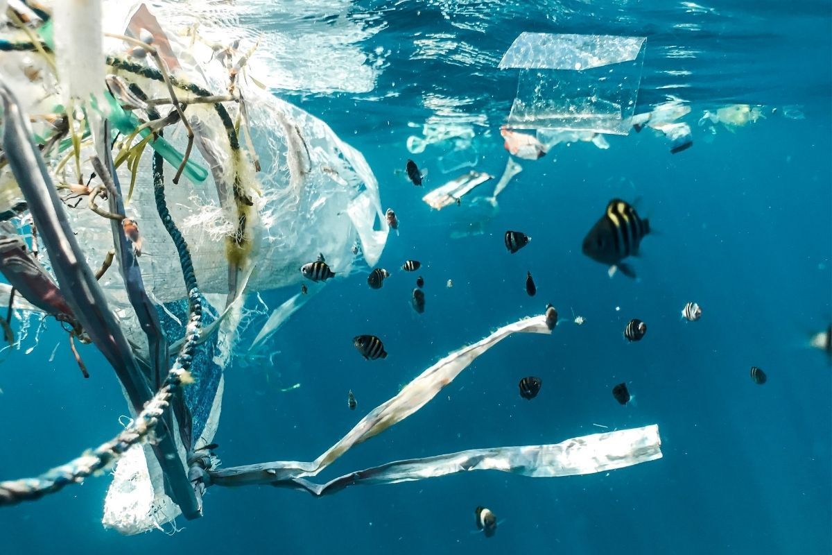 Advent calendar - Adventskalender |