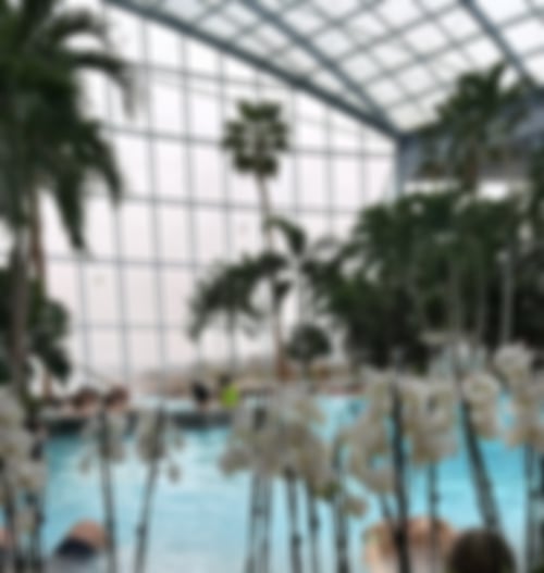 Therme & Badewelt Sinsheim