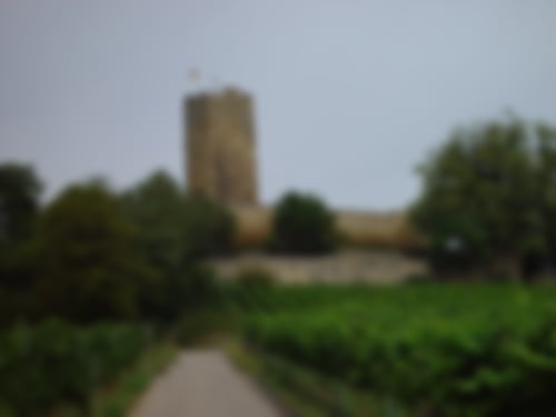 Burg Steinsberg in Sinsheim Weihler
