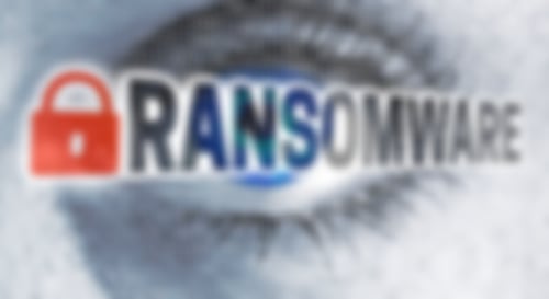 Virenentfernung in Bad Kreuznach, Kirn, Kusel, Kaiserlautern