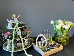Anmelden | Silke Flora