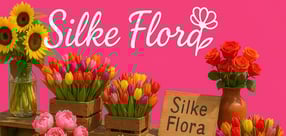 Anmelden | Silke Flora
