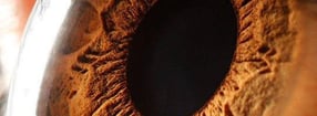 Aktuell | Vogtland Optik