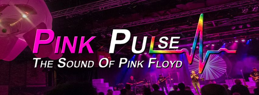 Bereich für Veranstalter | Pink Pulse