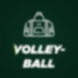 Volleyball