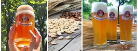 Anmelden | Paulaner Bräuhaus