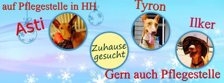Aktuelle Termine | Anni & Grace