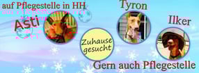 Aktuell | Anni & Grace
