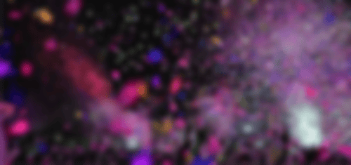 AP Events Eventmanagement