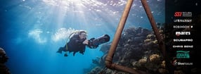 Aktuell | Dive Trophy