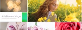 Impressum | www.bock-blumen.de