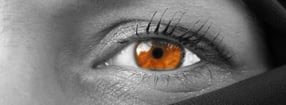 Termine | Fotobude.biz - portrait and more