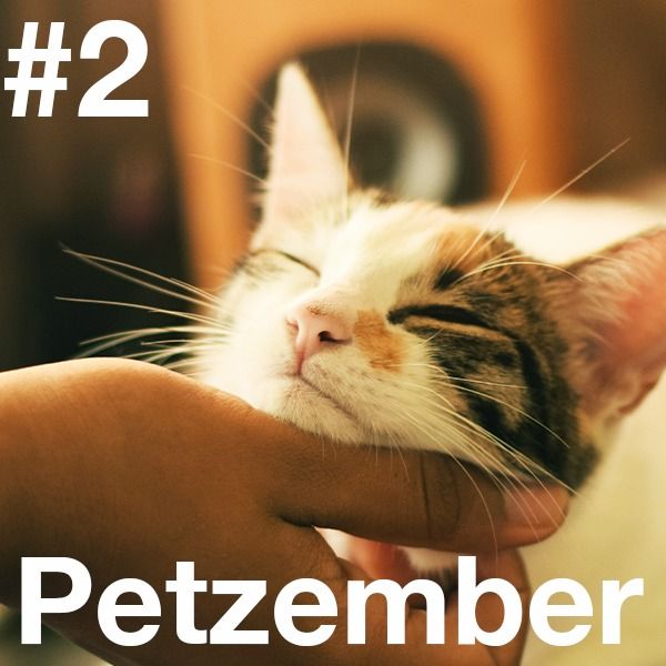 Aktuell | Tierarztpraxis Dr. Becker