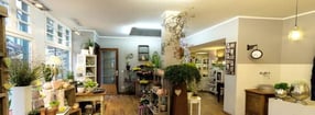 Anmelden | Altstadt Blumen