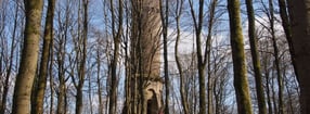 Impressum | www.katzenpfad.de - News-Magazin Waldbrunn und Neckar-Odenwald