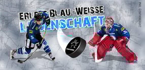 Aktuell | Dresdner Eislöwen Fanseite