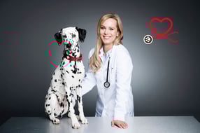 Aktuell | doc4pets.de