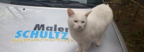 Impressum | Maler Schultz - Stucco Castello