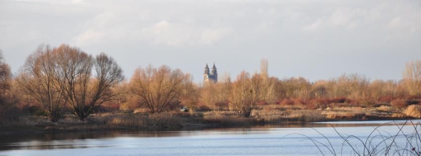 GWA-Sitzung - Aktuell | salbke-magdeburg.de