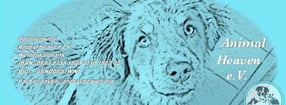 Aktuell | Animal Heaven