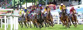 Turf-Times | Photographic Highlights by Daniela Faust