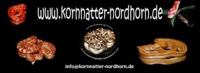 Anmelden | Schlangen-Verwaltung von Kornnatter-Nordhorn & Kornnatter24