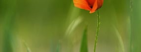 Impressum | nachhaltig-links.de