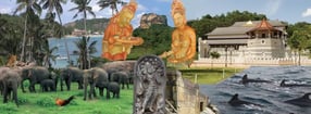 Impressum | Go Vacation Sri Lanka