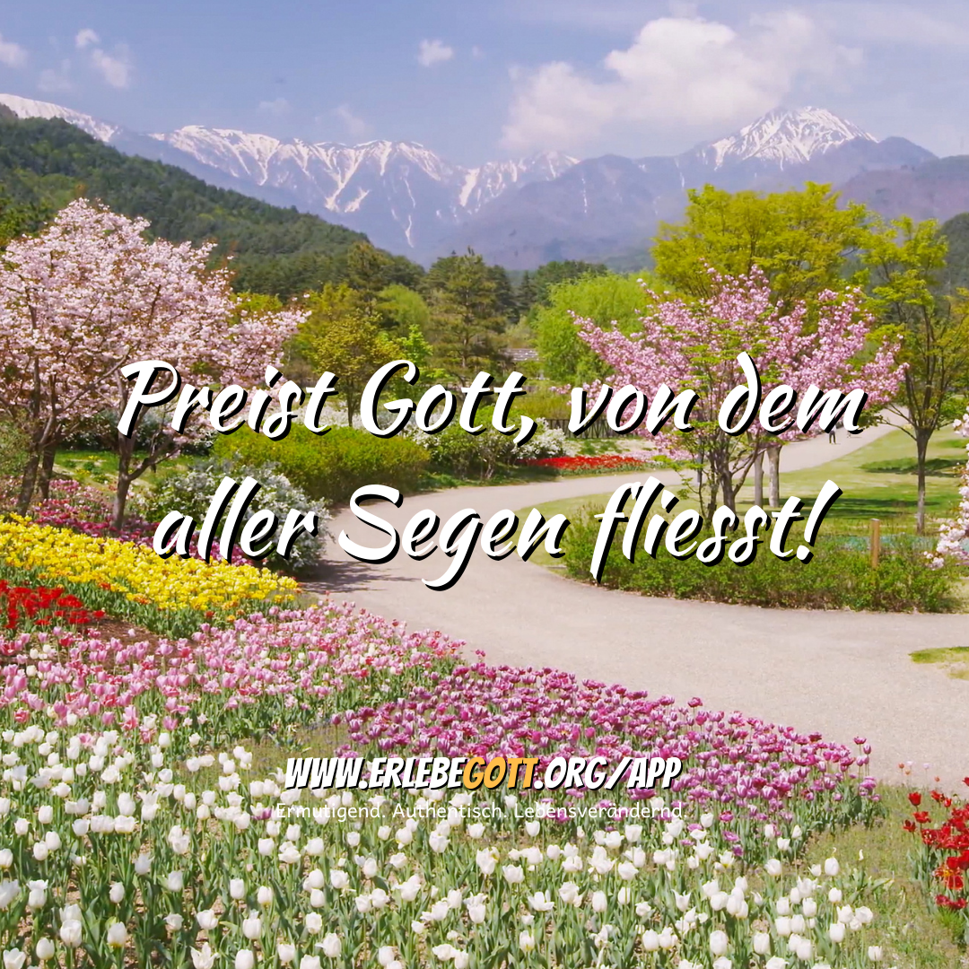 Preist Gott, von dem aller Segen fliesst!