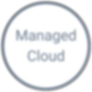 weißer kreisförmiger Button mit grauem Rand mit der Aufschrift Managed Cloud