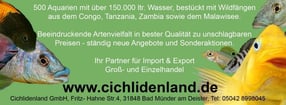 Aktuell | Cichlidenland