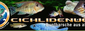 Aktuell | Cichlidenwelt