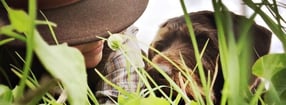 Impressum | Mein Wildfang  Coaching für Menschen mit jagenden Hunden