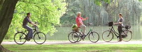 Impressum | Wulfhorst GmbH