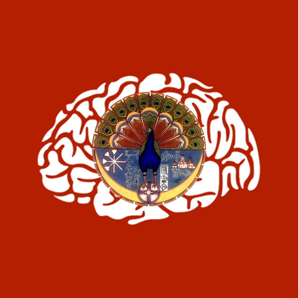 Rede Der Un Sonderbotschafterin Nadia Murad