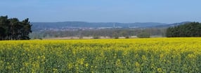 RFH YouTube Channel | RFH - Regionalfernsehen Harz