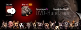 Aktuell | DVD-Hund.com + Hundetrainer.TV