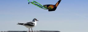 Impressum | Bi de Park - Ferienwohnung Föhr Südstrand