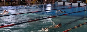Aktuell | Schwimmverein Haren