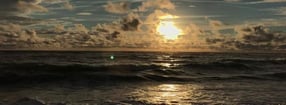 Aktuell | Leben an der Nordsee