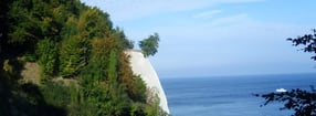 Aktuell | Sassnitz Aktuell