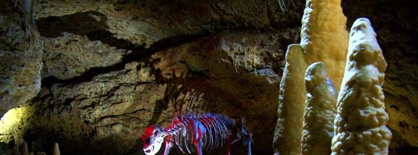 Aktuelle Termine | Teufelshöhle Pottenstein