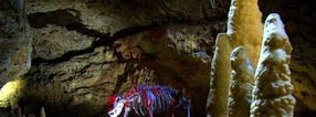 Impressum | Teufelshöhle Pottenstein