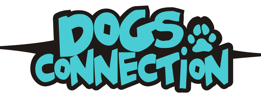 Aktuelle Termine | Dogs Connection