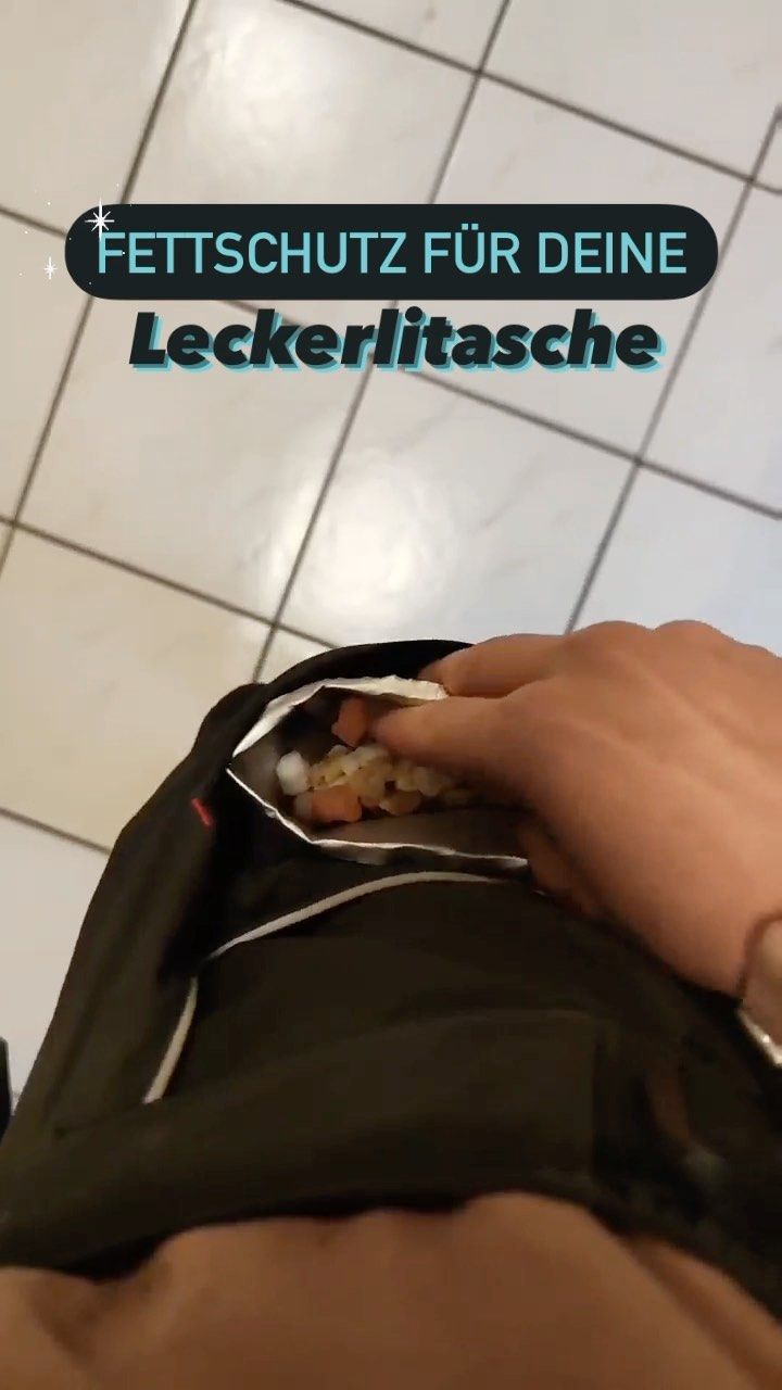 Aktuell | Dogs Connection