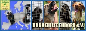 Termine | Hundehilfe Europa