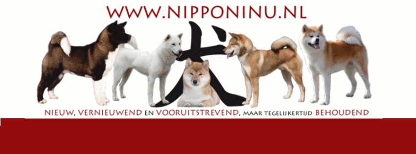 Aktuelle Termine - Agenda | NIPPON INU