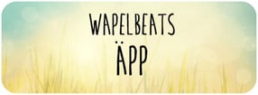 Termine | Wapelbeats