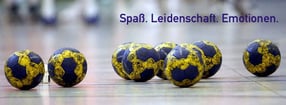 Aktuell | TSV Friesen Hänigsen Handball